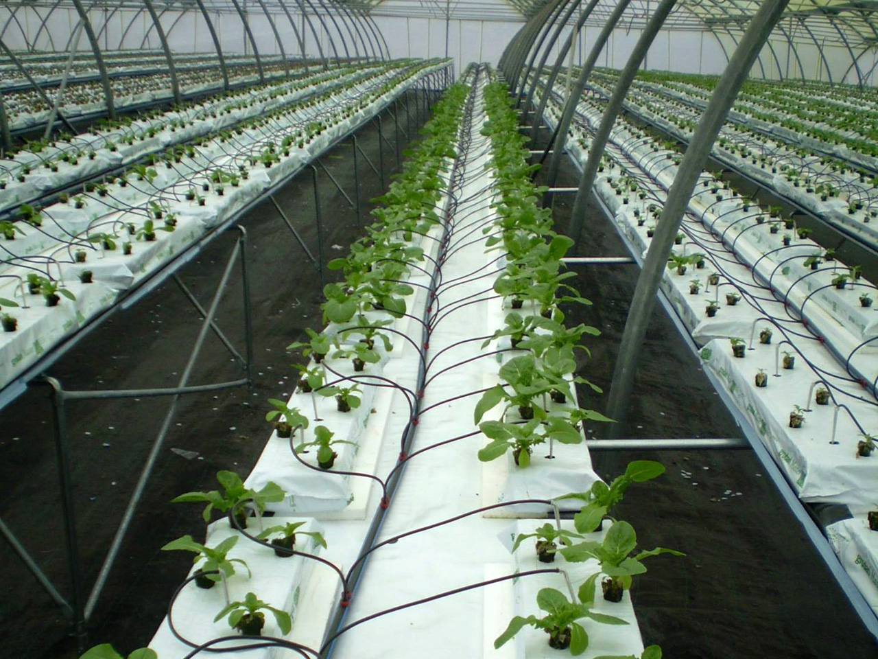 thermokipio-ependiseis