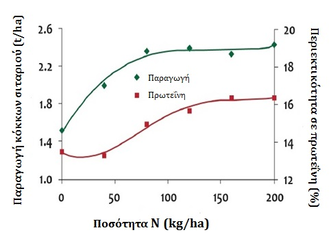 Ανταπόκριση της παραγωγής και της περιεκτικότητας σε πρωτεΐνη των κόκκων σιταριού στην προσθήκη Αζώτου