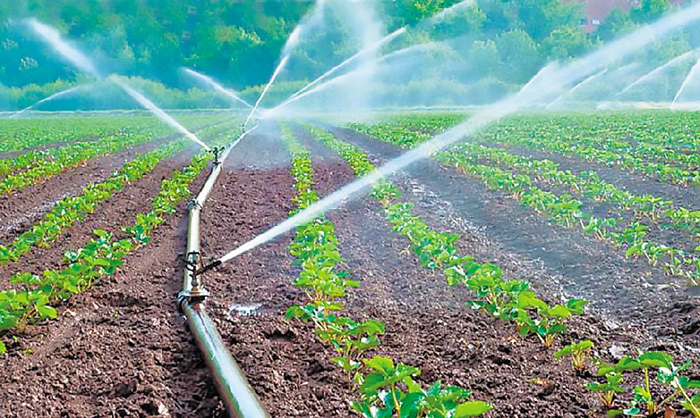 πρέπει να λαμβάνεται υπόψη και η αλληλεπίδραση μεταξύ των θρεπτικών, καθώς και ο τρόπος άρδευσης.
