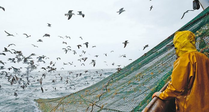 Η ελληνική αλιεία έχει εισέλθει στη φάση της συρρίκνωσης Η ελληνική αλιεία έχει εισέλθει στη φάση της συρρίκνωσης