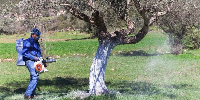 ψεκασμός δακοκτονίας ψεκασμός δακοκτονίας