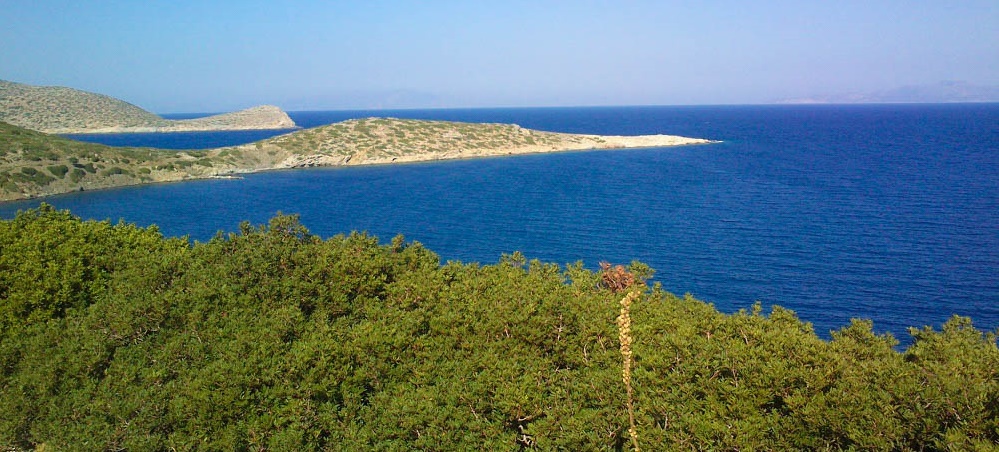 ΤΗΛΟΣ: Πράσινη, εναλλακτική, και… κερδισμένη