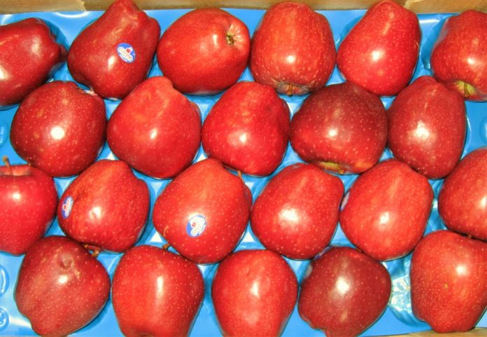 Οδοιπορικό: Η «Ύπαιθρος Χώρα» στην Ζαγορά Πηλίου Οδοιπορικό: Η «Ύπαιθρος Χώρα» στην Ζαγορά Πηλίου