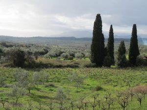 Η Ύπαιθρος Χώρα στην Μεσσηνία