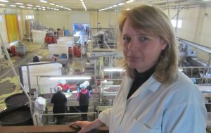 Η Ύπαιθρος Χώρα στην Μεσσηνία