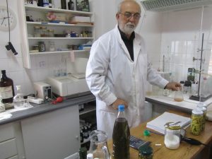 Η Ύπαιθρος Χώρα στην Μεσσηνία