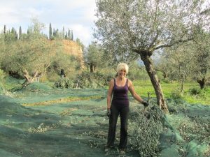 Η Ύπαιθρος Χώρα στην Μεσσηνία