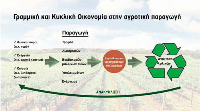 Η Κυκλική Οικονομία και στον αγροτικό τομέα Η Κυκλική Οικονομία και στον αγροτικό τομέα