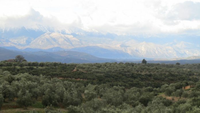 Επί τάπητος τα θέματα της Λακωνίας στο 10ο Περιφερειακό Συνέδριο» Επί τάπητος τα θέματα της Λακωνίας στο 10ο Περιφερειακό Συνέδριο»