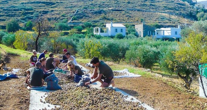 Από την Καλιφόρνια.. στη Τζια