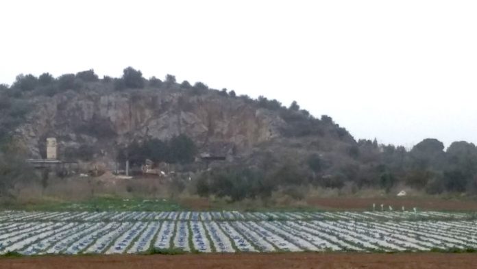 Αυξάνονται οι βιοκαλλιεργητές στην Αργολίδα Αυξάνονται οι βιοκαλλιεργητές στην Αργολίδα