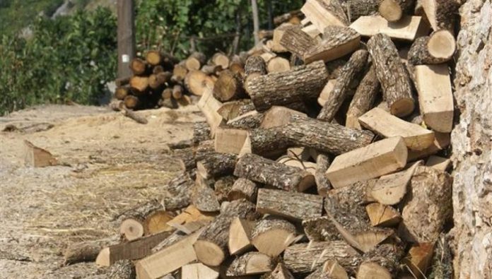 Τα βάζουν με τους λαθροϋλοτόμους στην Εύβοια Τα βάζουν με τους λαθροϋλοτόμους στην Εύβοια