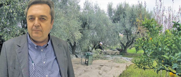 Χρήστος Μπαρλιάς: Οι πολιτικοί είναι περαστικοί, εμείς παράγουμε Χρήστος Μπαρλιάς: Οι πολιτικοί είναι περαστικοί, εμείς παράγουμε