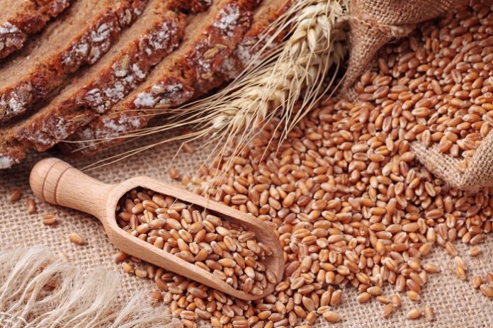 USDA: Τους 152,5 εκατ. τόνους εκτιμά ότι θα φτάσει η παραγωγή σιταριού USDA: Τους 152,5 εκατ. τόνους εκτιμά ότι θα φτάσει η παραγωγή σιταριού