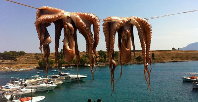 «ελληνοποιήσεις» και στον τομέα ψαριών και θαλασσινών «ελληνοποιήσεις» και στον τομέα ψαριών και θαλασσινών