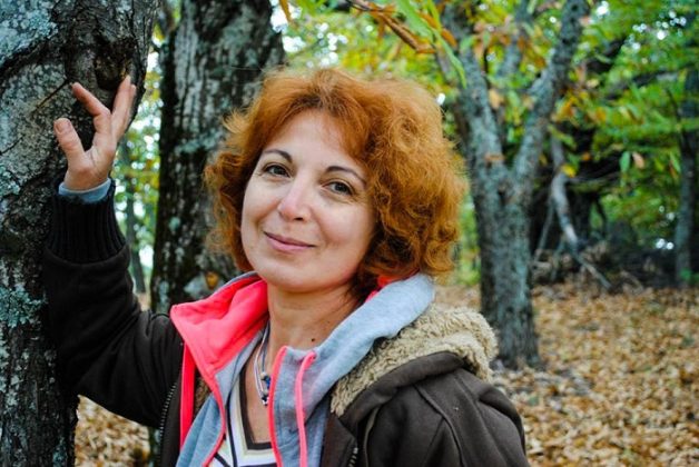 «Γλυκομαγεία» ένας επισκέψιμος καστανεώνας στην καρδιά του Πάικου
