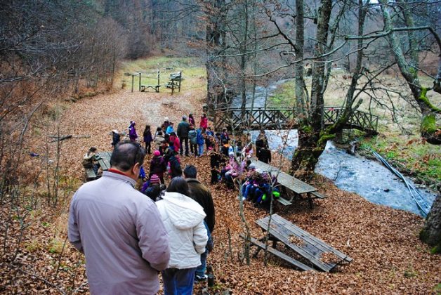 «Γλυκομαγεία» ένας επισκέψιμος καστανεώνας στην καρδιά του Πάικου