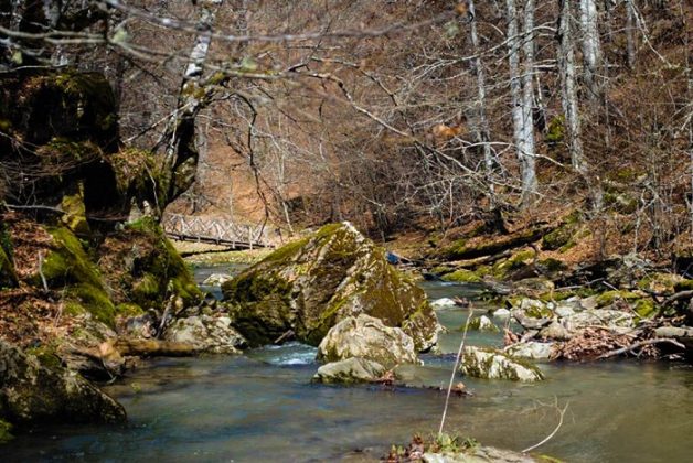 «Γλυκομαγεία» ένας επισκέψιμος καστανεώνας στην καρδιά του Πάικου