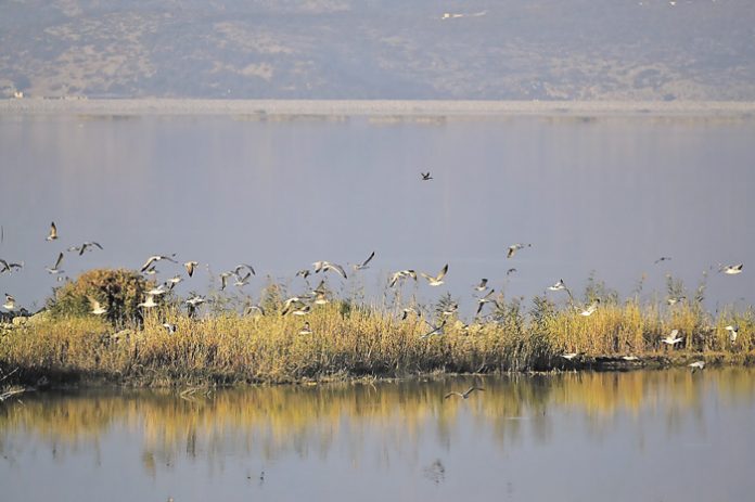 Η λίμνη Κάρλα στη Μαγνησία Η λίμνη Κάρλα στη Μαγνησία