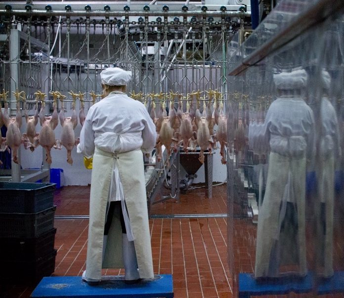 Αντέχει παρά τη συνεχιζόμενη ύφεση η βιομηχανία τροφίμων και ποτών Αντέχει παρά τη συνεχιζόμενη ύφεση η βιομηχανία τροφίμων και ποτών