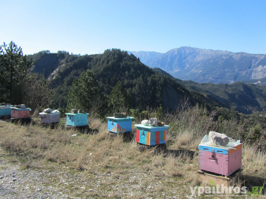 Τζουμέρκα: μέλι, βατόμουρα, ράφτινγκ και. igloo στα 1.000 μέτρα υψόμετρο