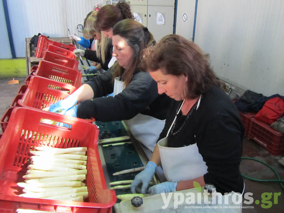 Η «Ύπαιθρος Χώρα» στην Πέλλα και στο Κιλκίς