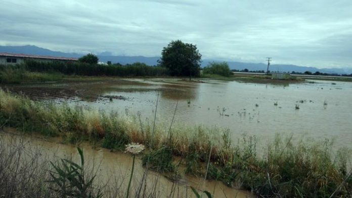 Αποζημιώσεις στους πληγέντες αγρότες ζητά η ΠΕ Τρικάλων Αποζημιώσεις στους πληγέντες αγρότες ζητά η ΠΕ Τρικάλων