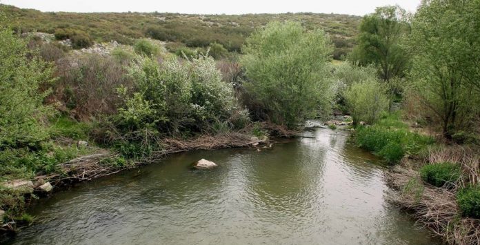 Ασωπός: Προχωρά επιχειρηματικό πάρκο εξυγίανσης Ασωπός: Προχωρά επιχειρηματικό πάρκο εξυγίανσης