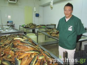 Νίκος Κυρυμκιρίδης, Deli-Fish Α.Ε.