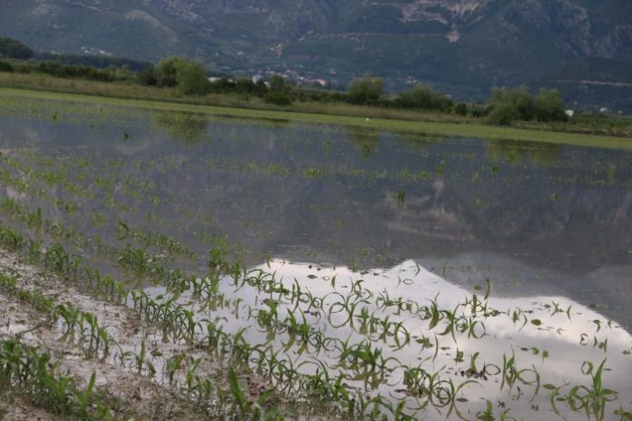 Αγρότες Μουζακαίϊκων: Άμεση αποζημίωση για τις καταστροφές Αγρότες Μουζακαίϊκων: Άμεση αποζημίωση για τις καταστροφές