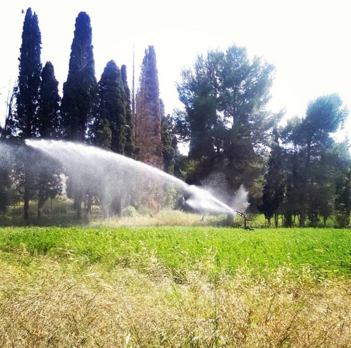 Έξι ενστάσεις της ΠΟΓΕΔΥ για το μέτρο της νιτρορύπανσης Έξι ενστάσεις της ΠΟΓΕΔΥ για το μέτρο της νιτρορύπανσης