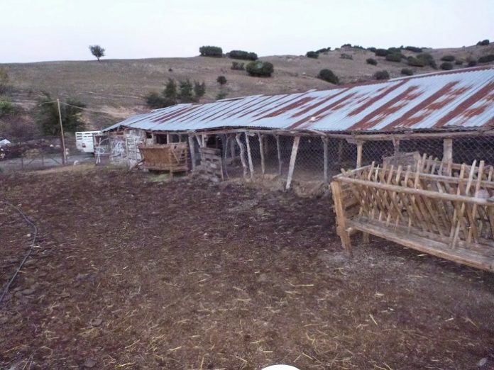 Στάβλοι στο όνομα της… ανάπτυξης Στάβλοι στο όνομα της… ανάπτυξης