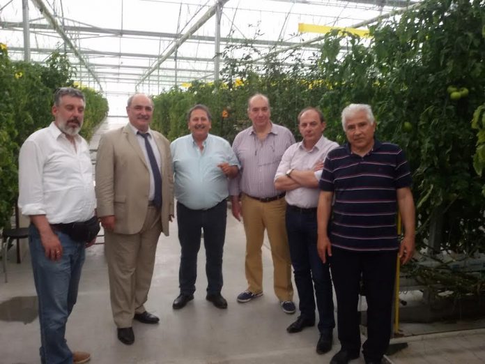 Ανασυγκρότηση του αγροδιατροφικού τομέα με νέο παραγωγικό πρότυπο Ανασυγκρότηση του αγροδιατροφικού τομέα με νέο παραγωγικό πρότυπο