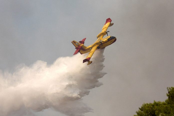 Απαγόρευση κυκλοφορίας οχημάτων και εκδρομέων σε εθνικούς δρυμούς και δάση Απαγόρευση κυκλοφορίας οχημάτων και εκδρομέων σε εθνικούς δρυμούς και δάση