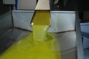 Βράβευση Ελαιοτριβείων για ορθές πρακτικές έκθλιψης και διάθεσης του Ελαιολάδου