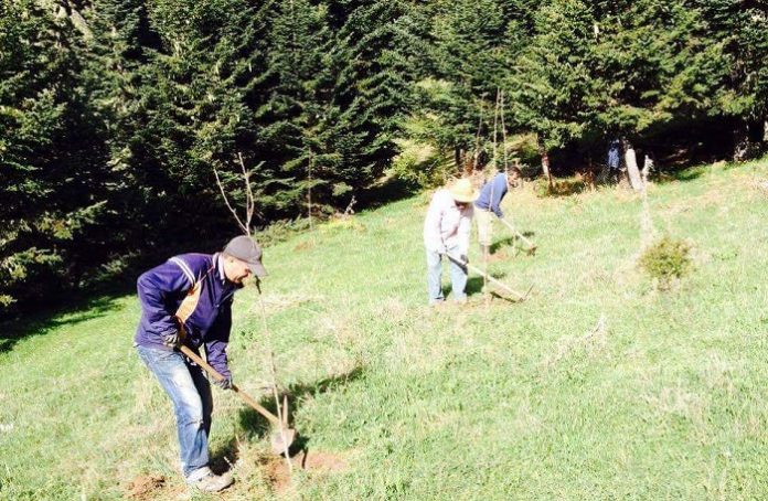 Εμπλουτισμός βιοτόπων της αρκούδας στον Εθνικό Δρυμό Οίτης Εμπλουτισμός βιοτόπων της αρκούδας στον Εθνικό Δρυμό Οίτης