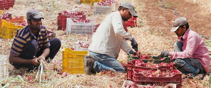 ΓΣΕΕ: Ανέλεγκτη η παραβατικότητα στην εργασία στον αγροτικό τομέα ΓΣΕΕ: Ανέλεγκτη η παραβατικότητα στην εργασία στον αγροτικό τομέα