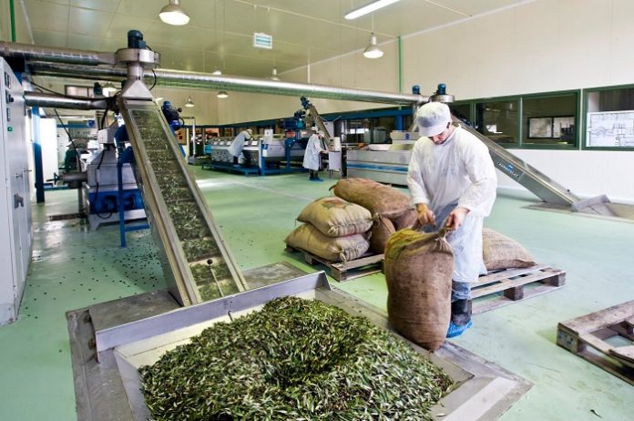 Μια παγκόσμια διάκριση για το κρητικό ελαιόλαδο Μια παγκόσμια διάκριση για το κρητικό ελαιόλαδο