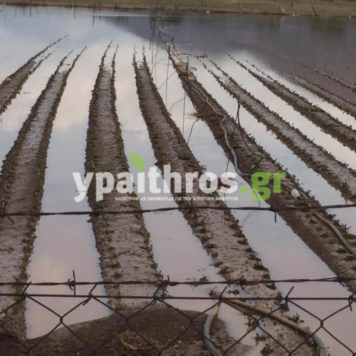 Κυβερνητικό κλιμάκια στις πληγείσες περιοχές από την κακοκαιρία Κυβερνητικό κλιμάκια στις πληγείσες περιοχές από την κακοκαιρία