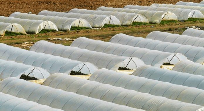 Στα 50.000 ευρώ το «σκαλοπάτι» για Ομάδες Παραγωγών, Συνεταιρισμούς στον αναπτυξιακό Στα 50.000 ευρώ το «σκαλοπάτι» για Ομάδες Παραγωγών, Συνεταιρισμούς στον αναπτυξιακό