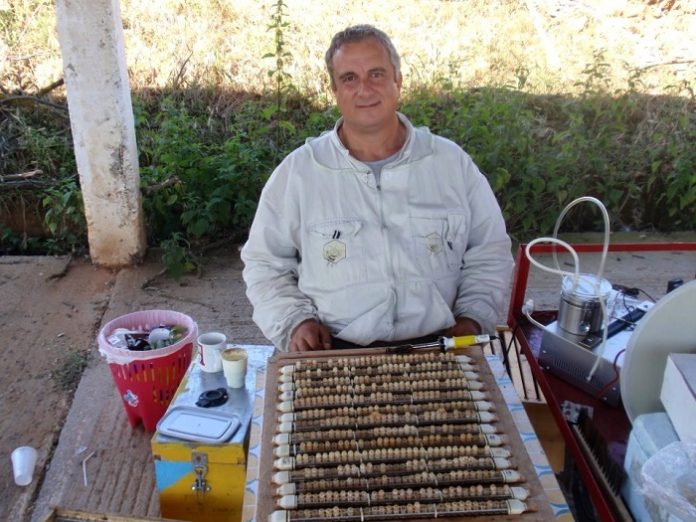 Τροφή για βασίλισσες Τροφή για βασίλισσες