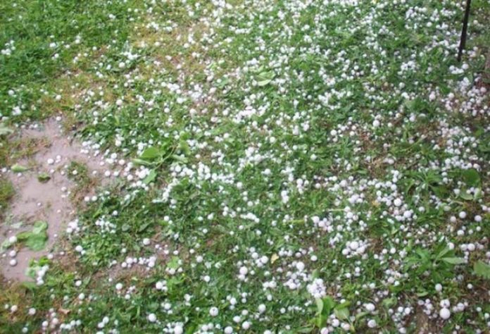 Αλεξανδρούπολη: Οι δηλώσεις ζημίας από το χαλάζι στις 21 Ιούνη Αλεξανδρούπολη: Οι δηλώσεις ζημίας από το χαλάζι στις 21 Ιούνη