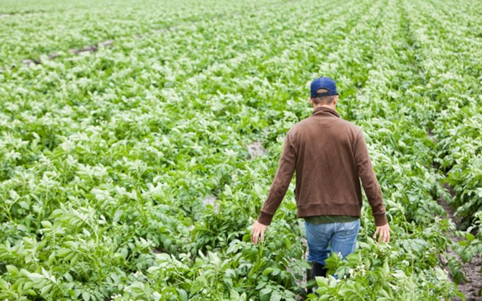 Aπειλή κατασχέσεων για 30.000 οφειλέτες του ΟΓΑ Aπειλή κατασχέσεων για 30.000 οφειλέτες του ΟΓΑ