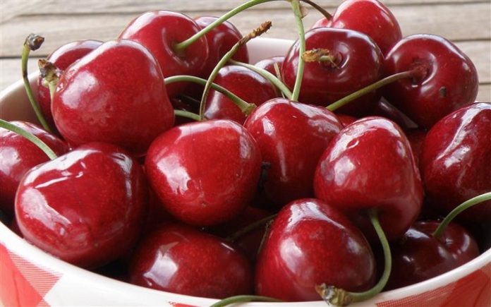 16% μειωμένη η παραγωγή κερασιών στη Γαλλία 16% μειωμένη η παραγωγή κερασιών στη Γαλλία