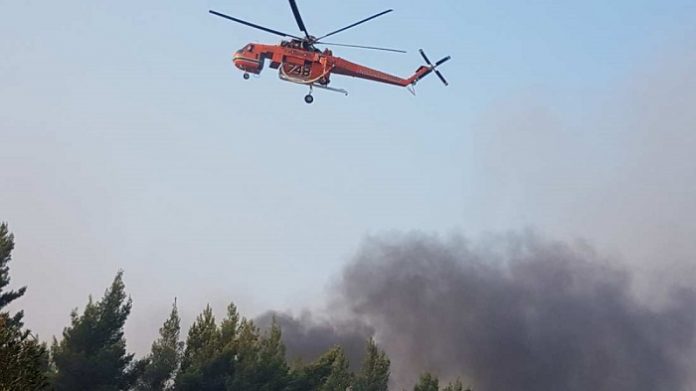 Κόλαση φωτιάς στην Ηλεία - Σήμερα στον εισαγγελέα ο 46χρονος που συνελήφθη Κόλαση φωτιάς στην Ηλεία - Σήμερα στον εισαγγελέα ο 46χρονος που συνελήφθη