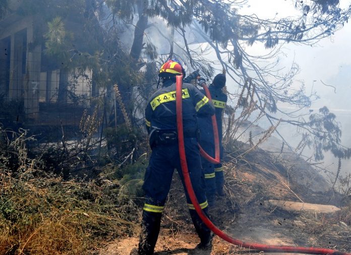 Το πύρινο δράμα των αγροτών της Ιεράπετρας Το πύρινο δράμα των αγροτών της Ιεράπετρας
