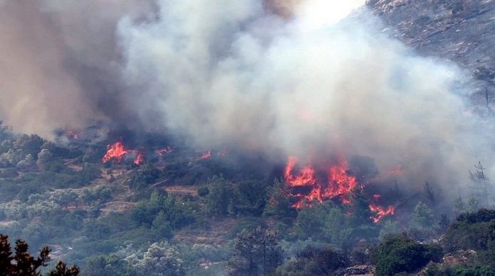 Υπό έλεγχο η φωτιά στα Μαστιχοχώρια Χίου Υπό έλεγχο η φωτιά στα Μαστιχοχώρια Χίου