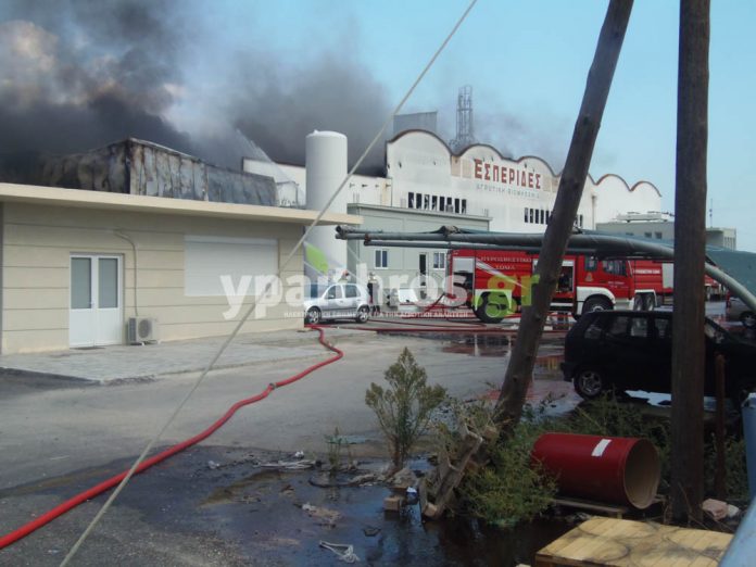 Ο διευθυντής της ΕΑΣ Αργολίδας για την μεγάλη πυρκαγιά στο εργοστάσιο «Εσπερίδες» Ο διευθυντής της ΕΑΣ Αργολίδας για την μεγάλη πυρκαγιά στο εργοστάσιο «Εσπερίδες»