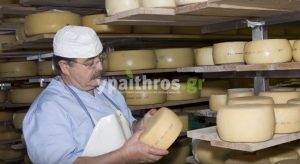 Μανώλης Τζουρμπάκης, τυροκόμος