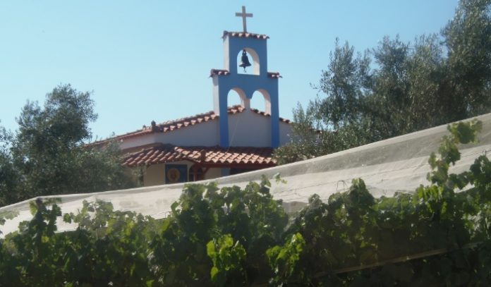 Κορινθία: Ψάχνονται λόγω άρδευσης οι παραγωγοί σουλτανίνας Κορινθία: Ψάχνονται λόγω άρδευσης οι παραγωγοί σουλτανίνας